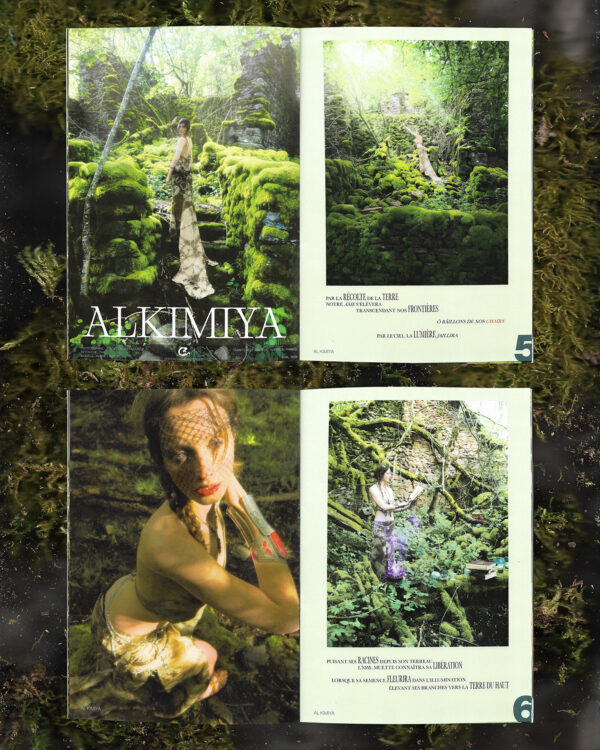 N°1 CHAMPREDONDE MAGAZINE – Image 7